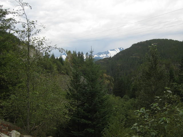 IMG 2286