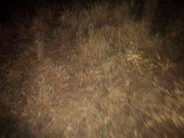 IMG 20140613 212645