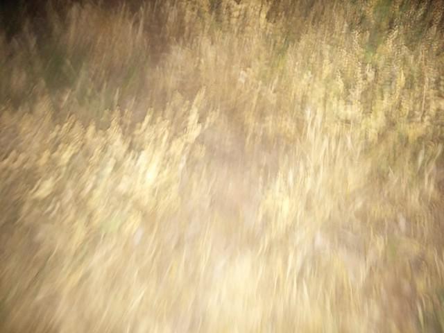 IMG 20140613 212650
