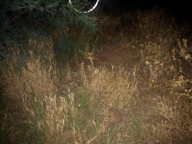 IMG 20140613 212656