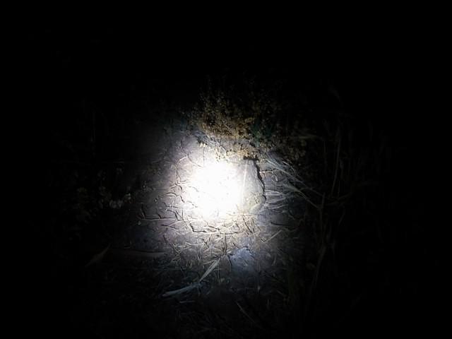 IMG 20140613 212715