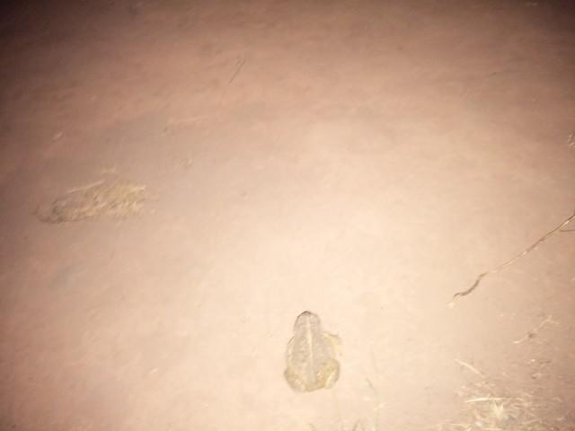 IMG 20140613 212732