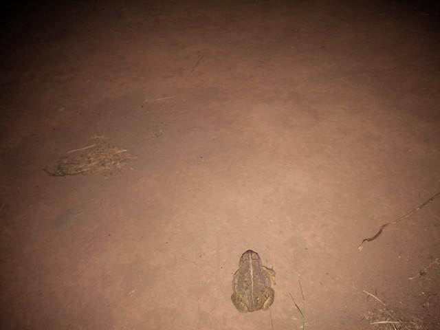 IMG 20140613 212735