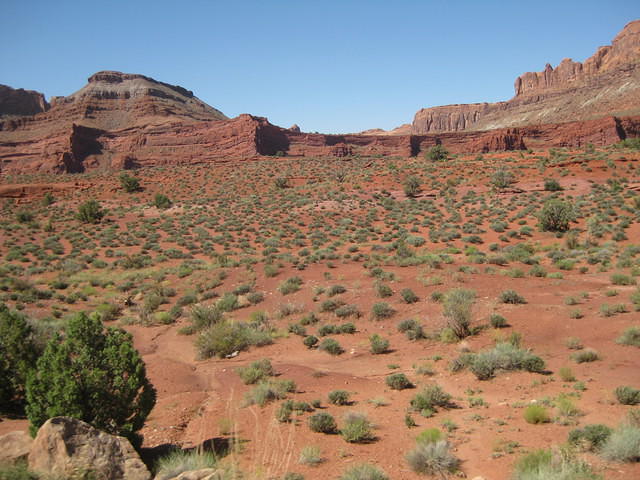 IMG 3070