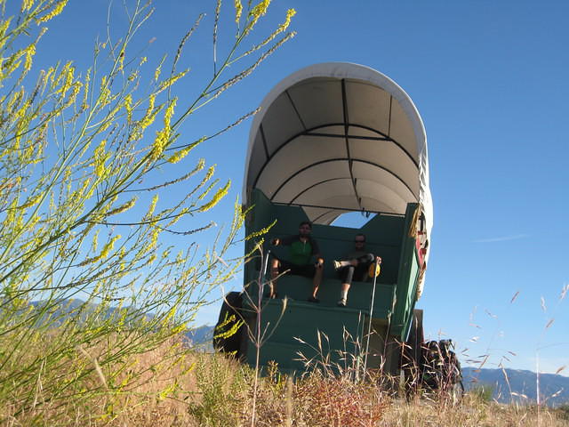 IMG 3084