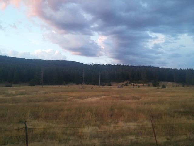 IMG 20150706 204446