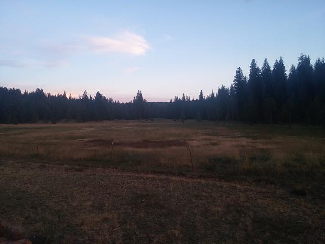 IMG 20150706 204451