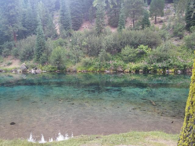 IMG 20150708 085943
