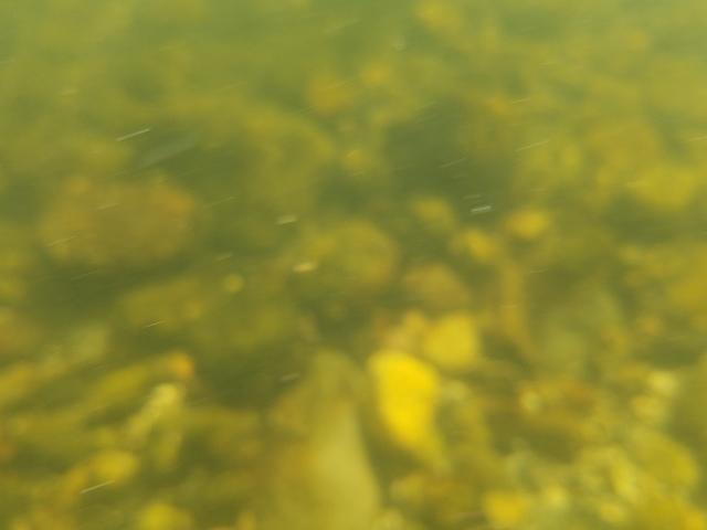 20160621 164544