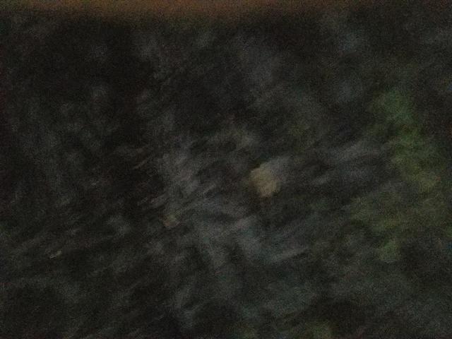 20170708 175356