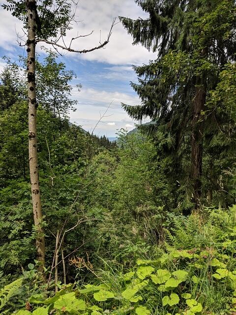 IMG 20180624 131624