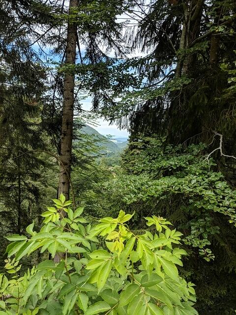 IMG 20180624 131741