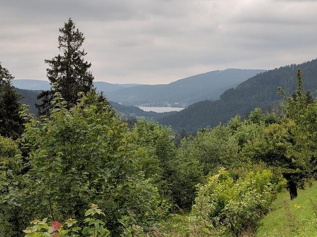 IMG 20180625 103328