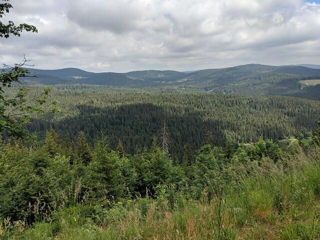 IMG 20180625 112128