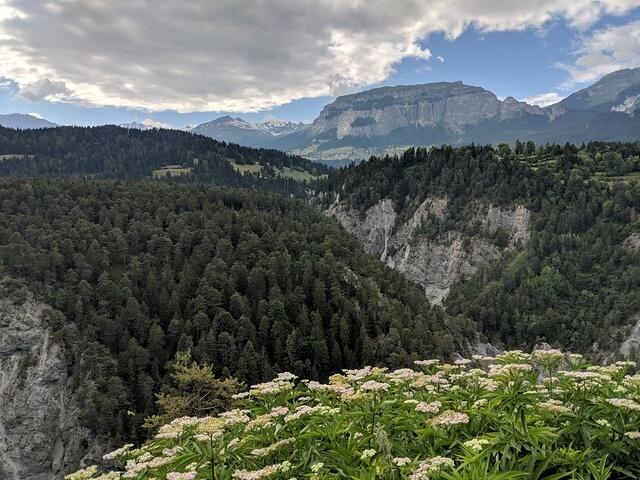 IMG 20180629 170548