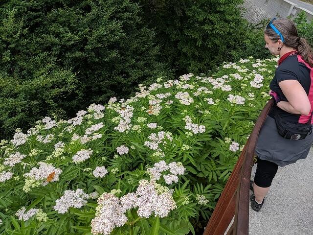 IMG 20180629 171106