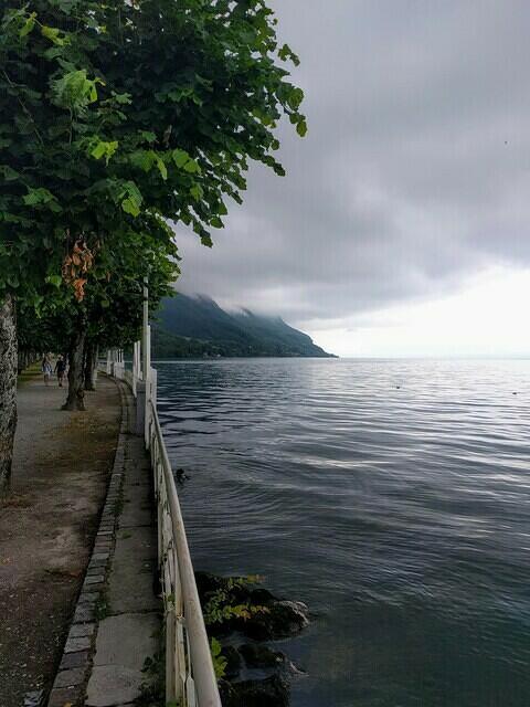 IMG 20180705 110044