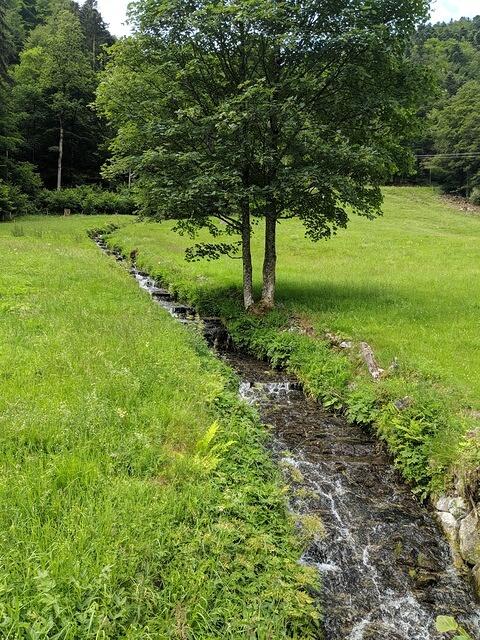 MVIMG 20180624 122642