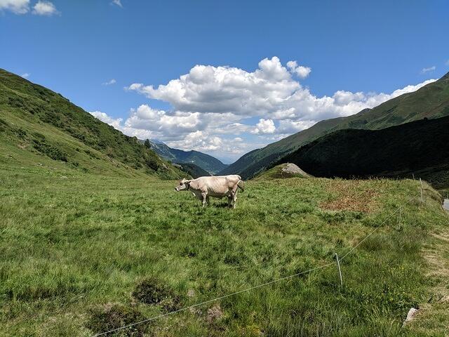 MVIMG 20180630 141350