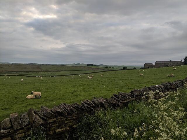 IMG 20190601 200316