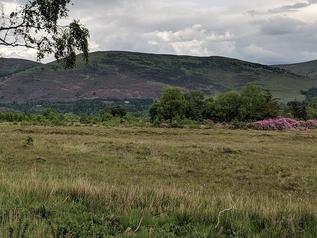 IMG 20190607 164636