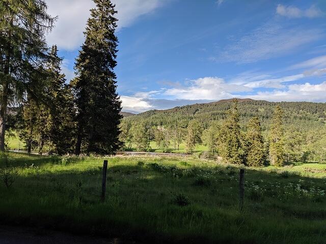 IMG 20190619 175457
