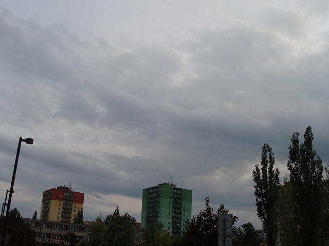 P5160015