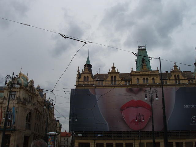 P5170029