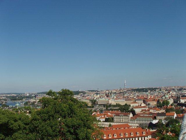 P5180130.JPG