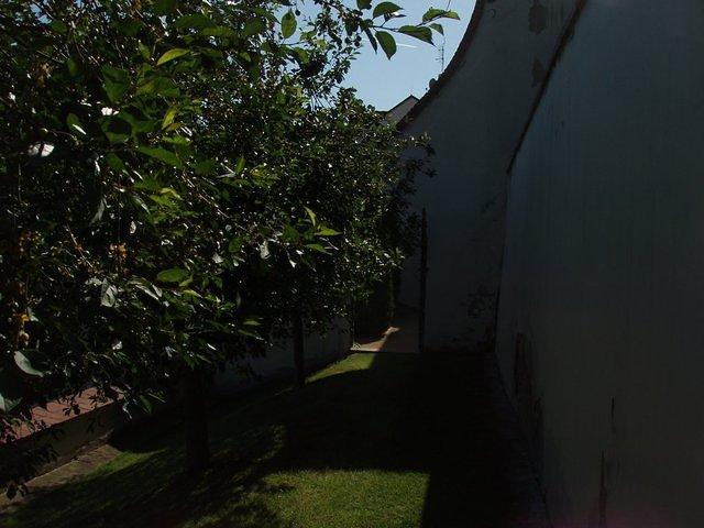 P5190168.JPG