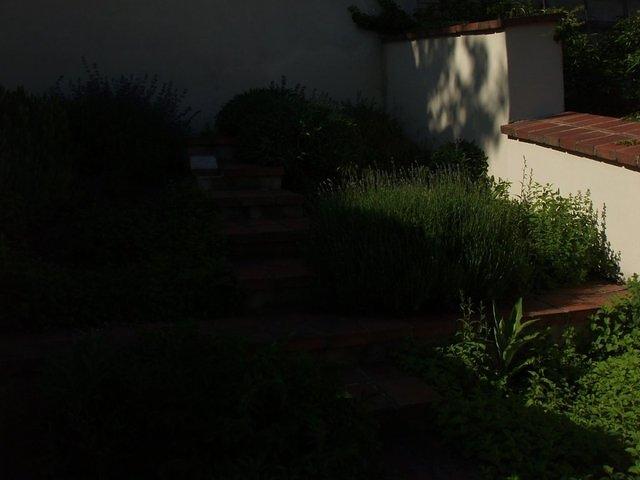 P5190173.JPG