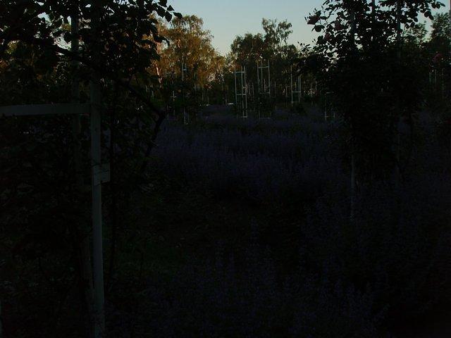 P5190192.JPG