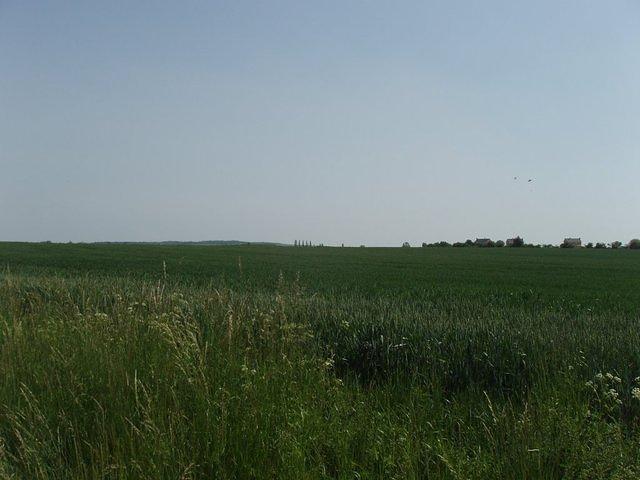 P5210233.JPG