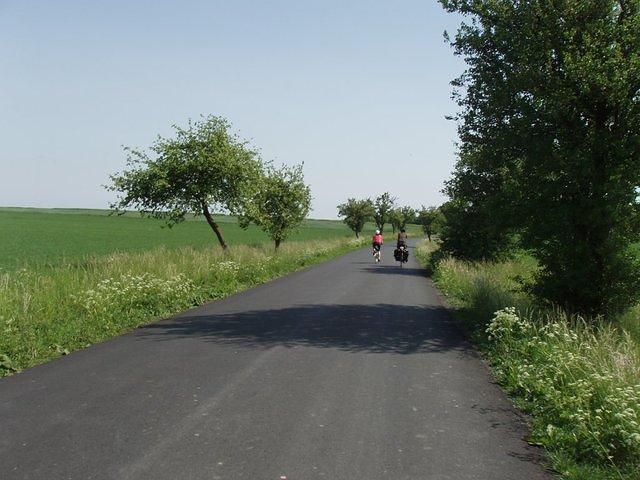 P5210236.JPG