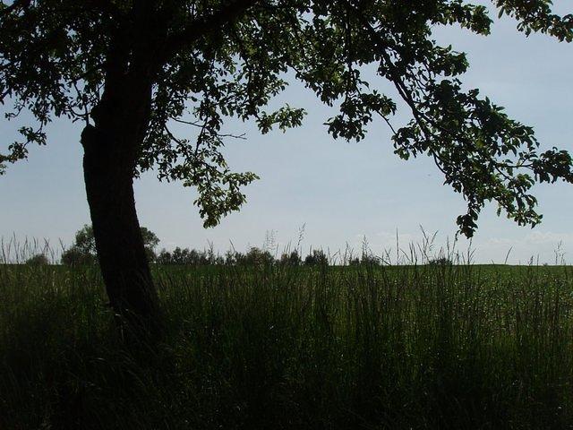 P5210238.JPG