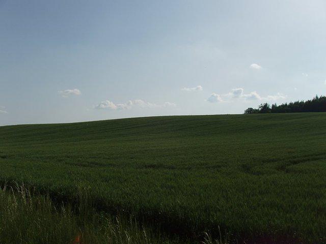 P5210242.JPG