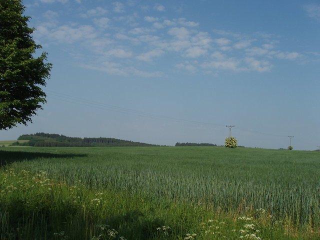 P5220258.JPG
