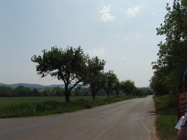 P5220266.JPG