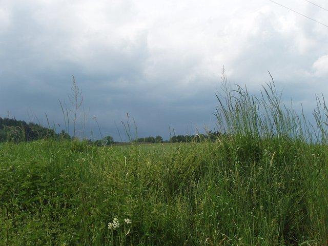 P5220272.JPG