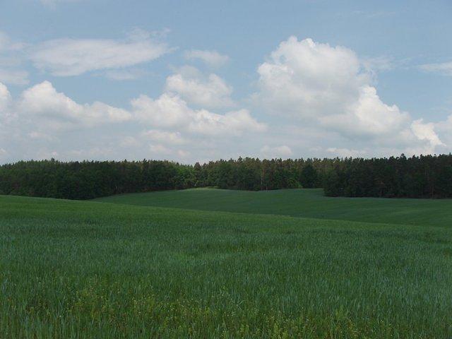 P5230286.JPG