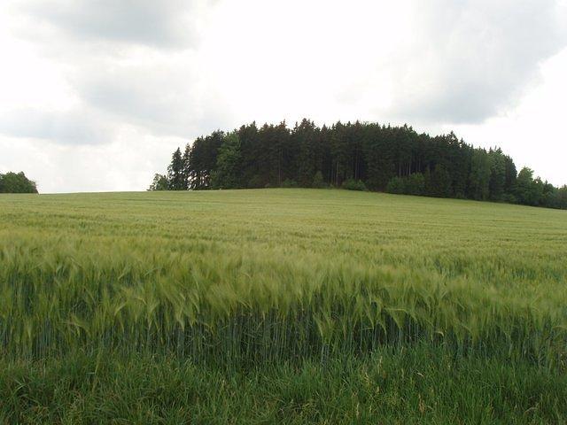 P5230307.JPG