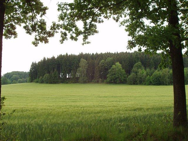 P5230308.JPG
