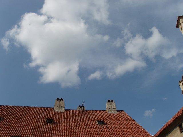 P5230316.JPG