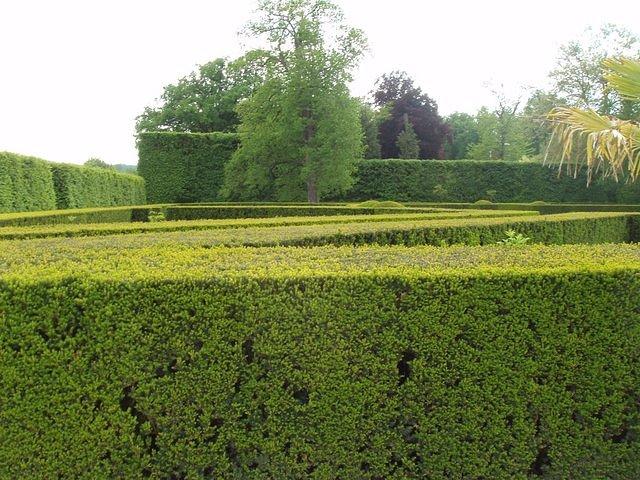 P5230332.JPG