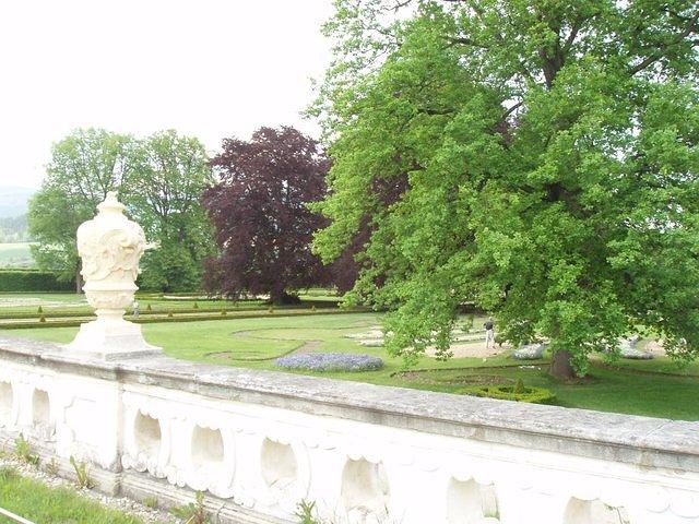 P5230333.JPG