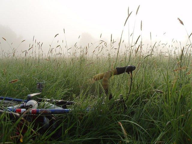 P5230356.JPG