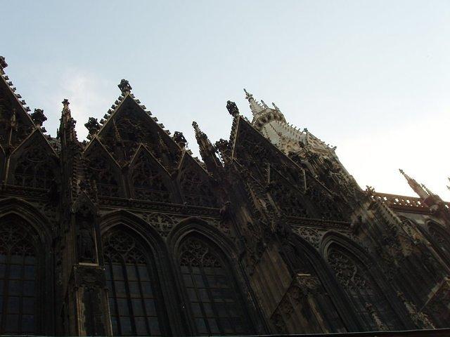 P5250373.JPG