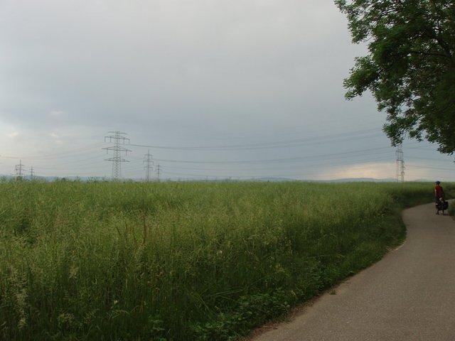 P5260403.JPG