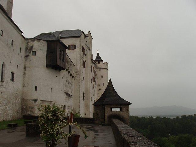 P5290491.JPG