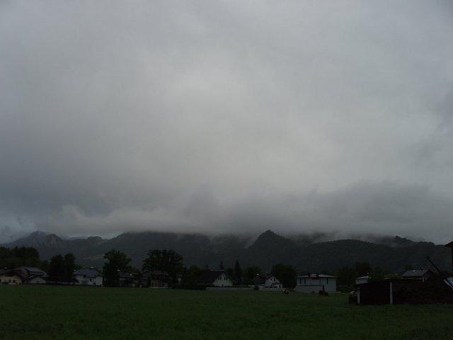 P5290509.JPG